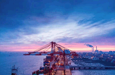 青島海運:智能物流該如何揚長避短