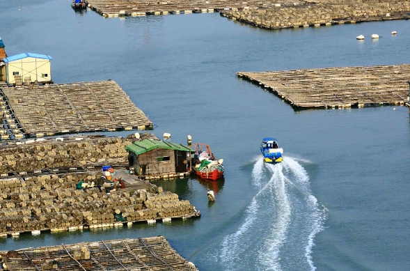 天津貨代行業在發展過程中，逐漸形成了獨特的服務特色和優勢