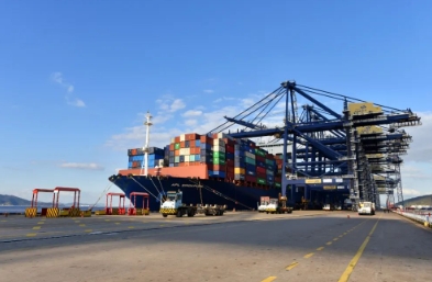 天津貨代公司以優質的服務，在全球貿易舞臺上綻放著光芒