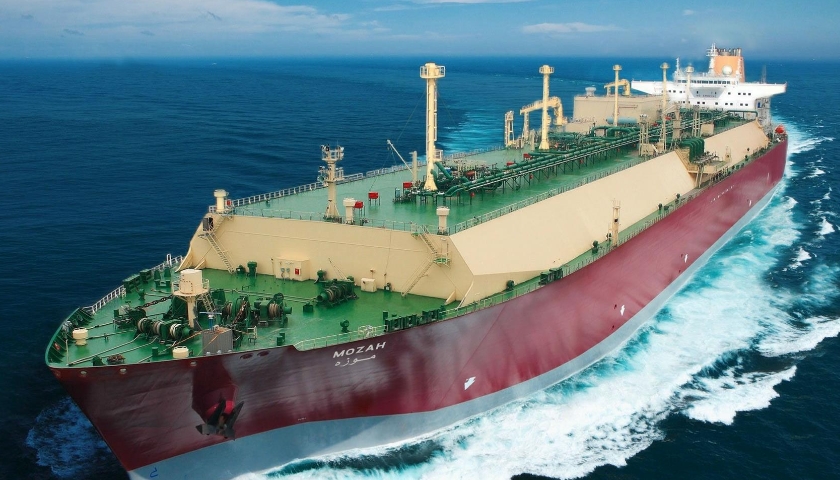 國際海運(yùn)公司