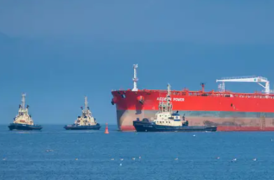 在選擇國際海運公司時，我們要注意的6點要素分別是哪些？