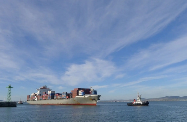 國內(nèi)海運(yùn)公司在全球化時代具有重要的地位和作用，面臨著挑戰(zhàn)和機(jī)遇