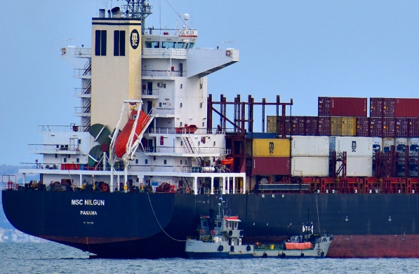 上海貨代公司的運作機制，其在全球物流體系中的獨特地位如何？